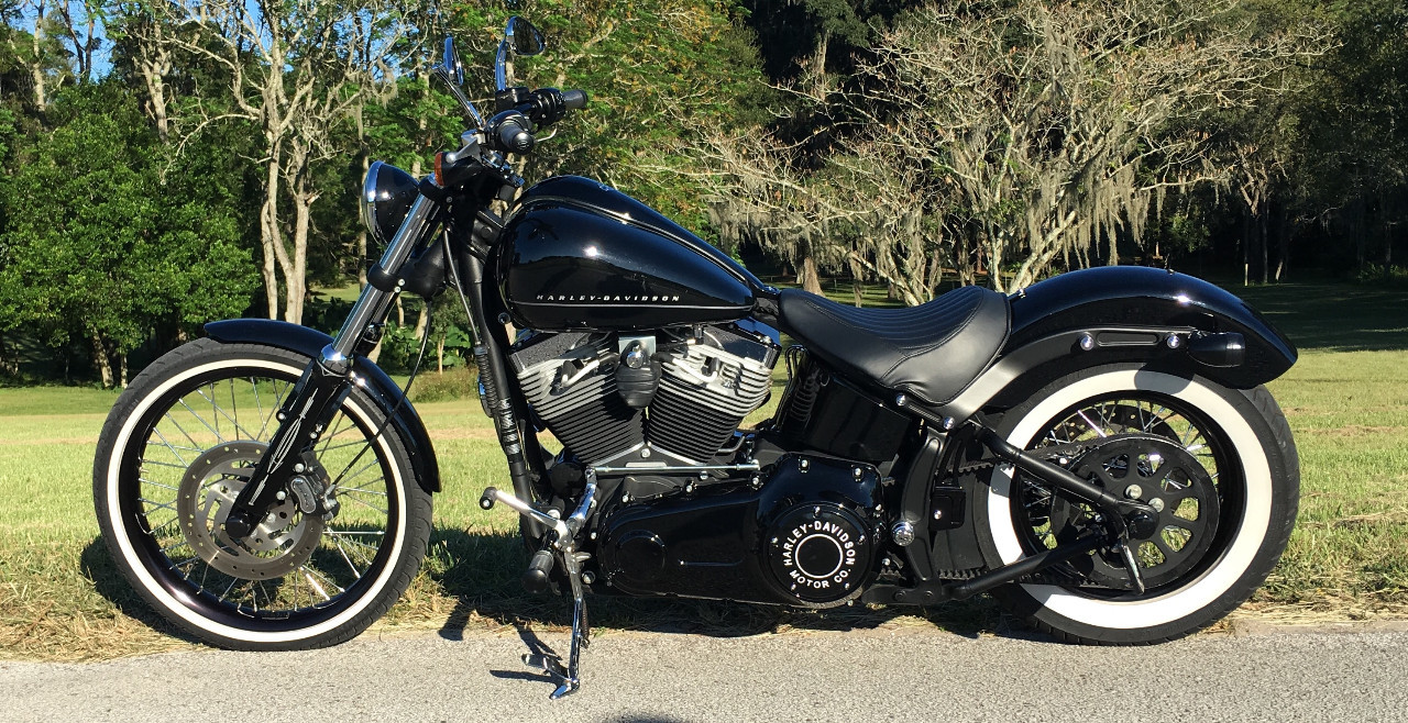 2011 Harley-Davidson BLACKLINE