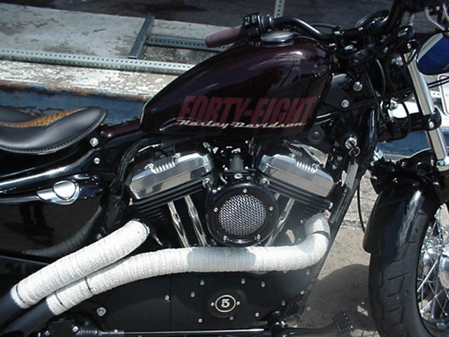 2014 Harley-Davidson Sportster 48 1200