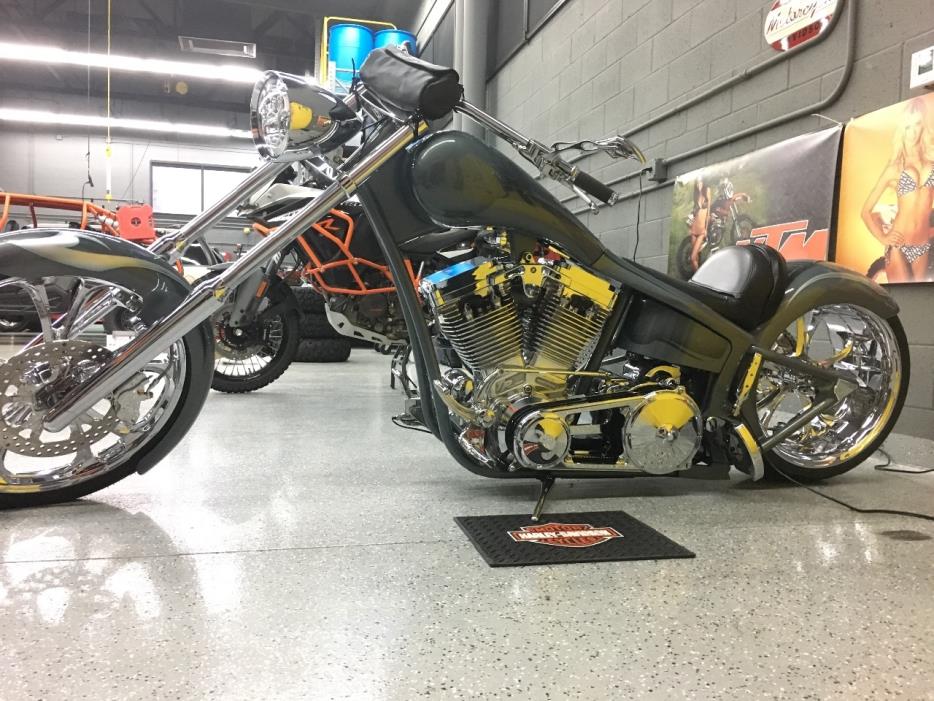 2010 Harley-Davidson CUSTOM
