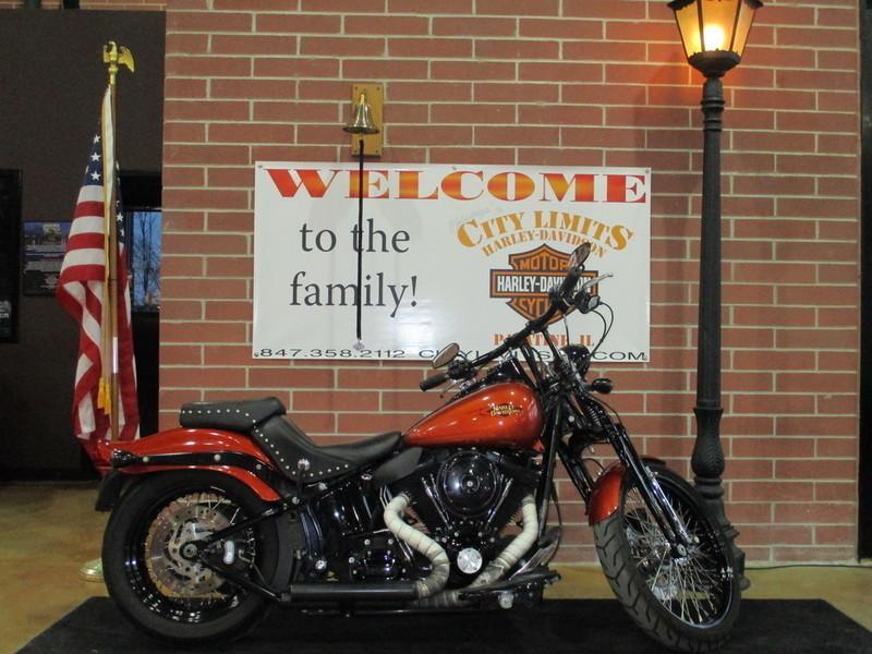 2011 Harley-Davidson FLSTSB - Cross Bones