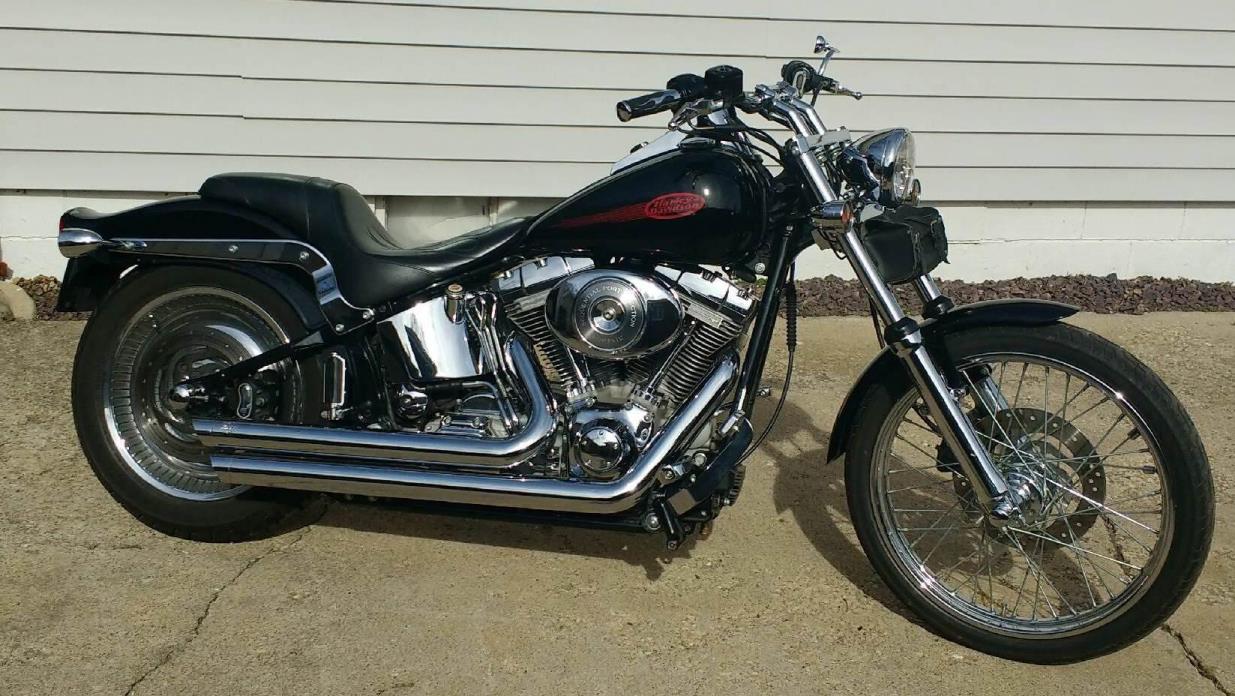 2005 Harley Davidson Softtail Custom