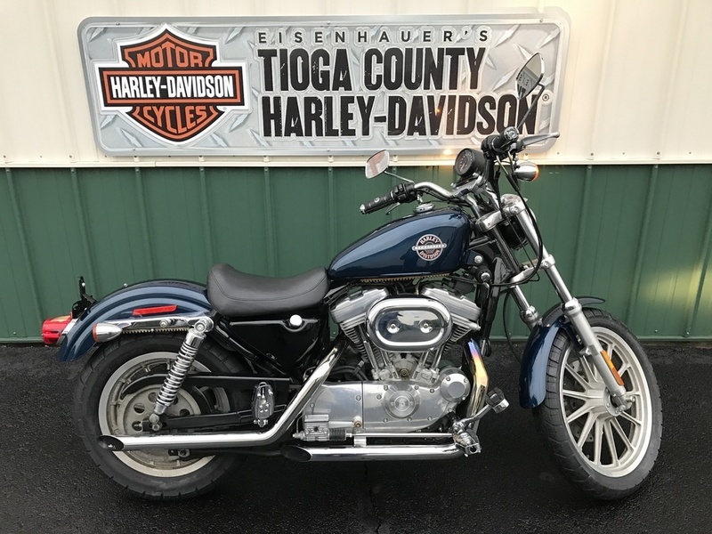 2002 Harley Davidson XL883