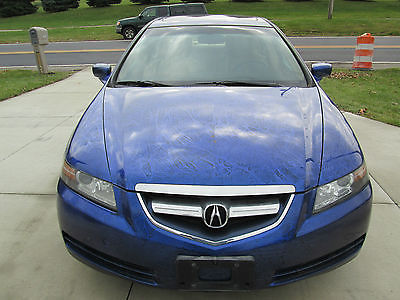 Acura : TL TL Custom paint which is snake skin, 4 new tires, new timingbell, and new brakes