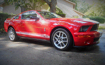 Shelby : GT500 GT500 2008 shelby gt 500 every available option shelby signed 8400 miles