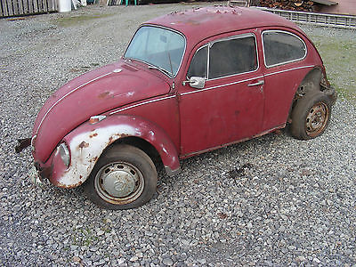 Volkswagen : Beetle - Classic classic 1968 vw beetle parts or project car