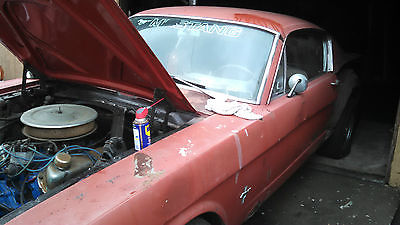 Ford : Mustang 2 + 2 1965 mustang fastback 2 2 v 8 a code