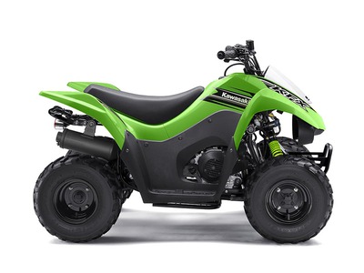 2016 Kawasaki Teryx4 LE