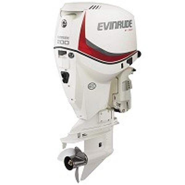 2015 EVINRUDE E200DCX Engine and Engine Accessories