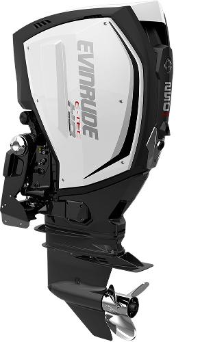 2015 EVINRUDE E250XCH Engine and Engine Accessories
