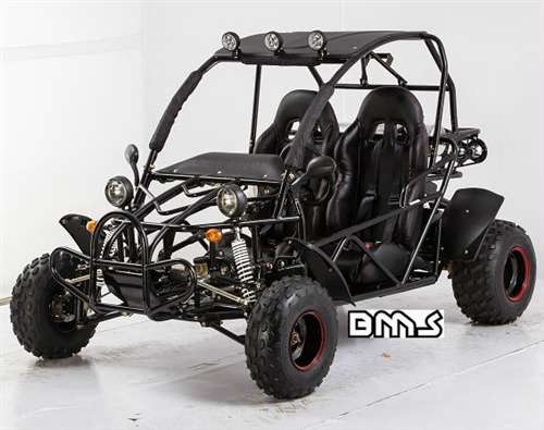 2015 BMS V-TWIN BUGGY