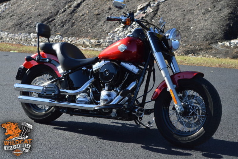 2013 Harley-Davidson FLS - Softail Slim