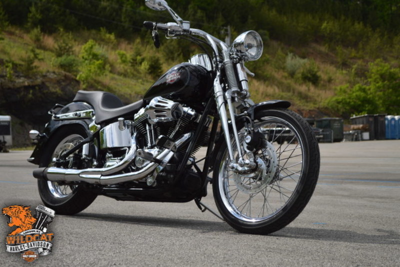 2005 Harley-Davidson FXSTS - Softail Springer