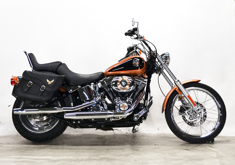 2008 Harley-Davidson Softail Standard FXSTC