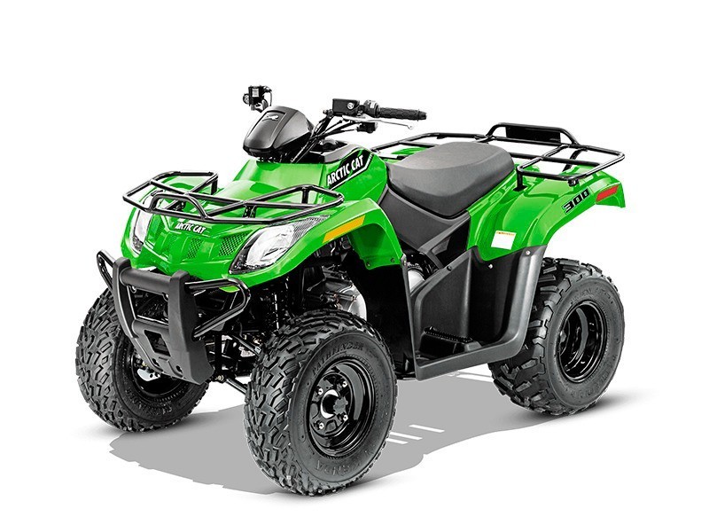 2016 Arctic Cat 300