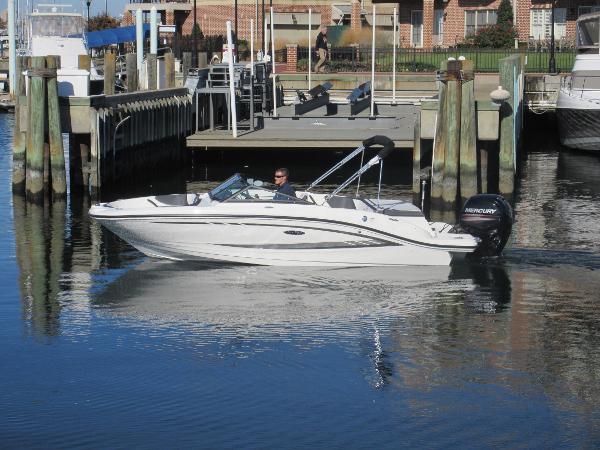 2017 Sea Ray 19 SPX Outboard