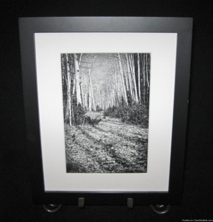 Giclee’ Print “Autumn in Black & White” by Linda Pampinella Beaver..., 2
