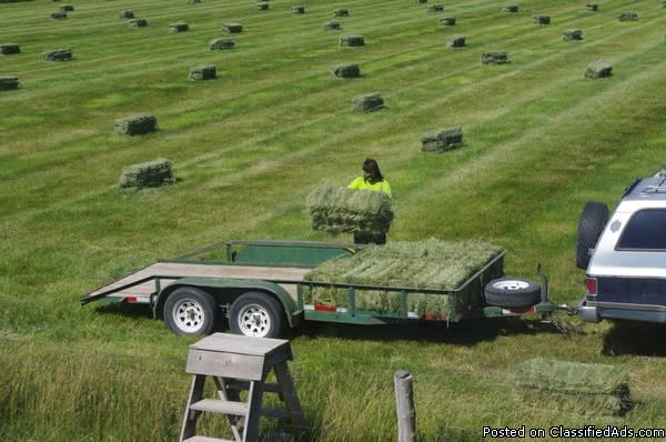 Hay... We have good quality (horse hay) Timothy/Orchard mix Grass Hay  (South..., 4