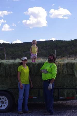 Hay... We have good quality (horse hay) Timothy/Orchard mix Grass Hay  (South..., 0