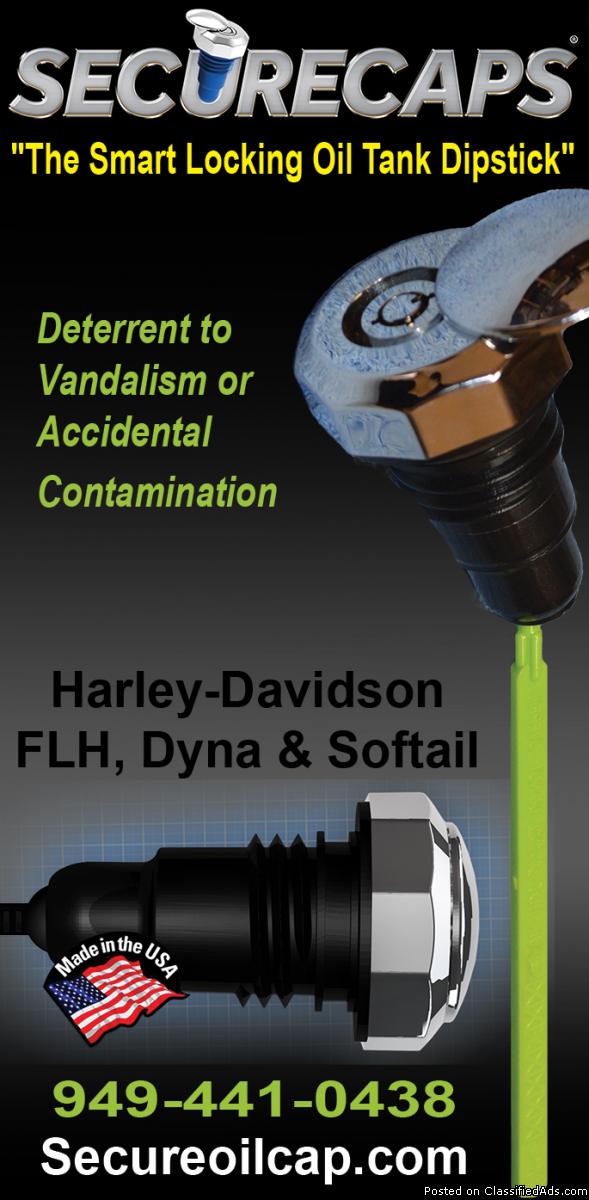 HARLEY-DAVIDSON ENGINE PROTECTION, 1