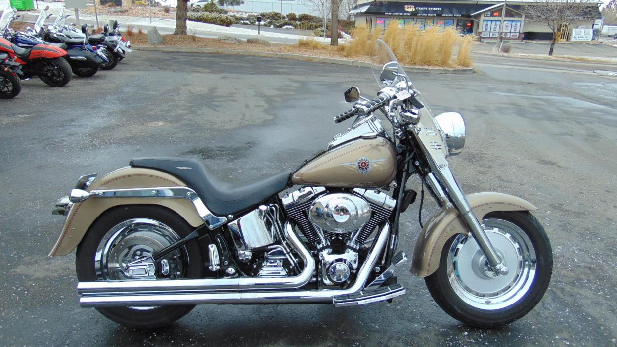 2004 Harley-Davidson FLSTFI