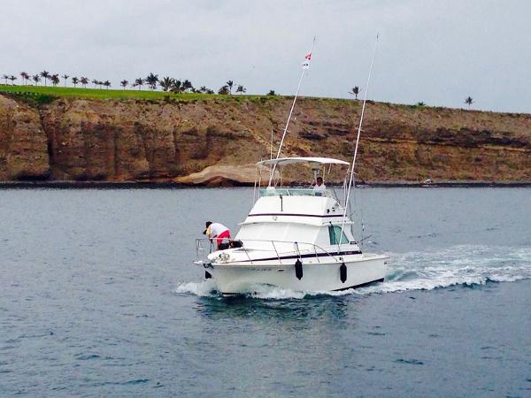 1990 Bertram 33 Flybridge Cruiser