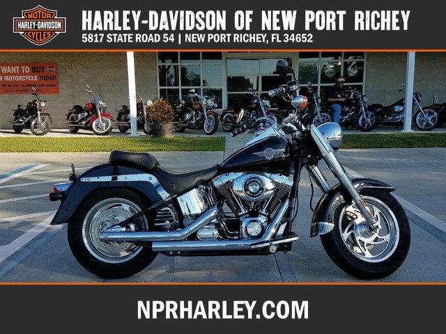 2001 Harley-Davidson FLSTF FAT BOY