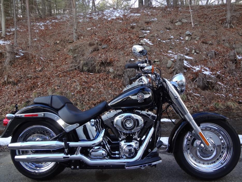 2015 Harley-Davidson FLSTF Fat Boy