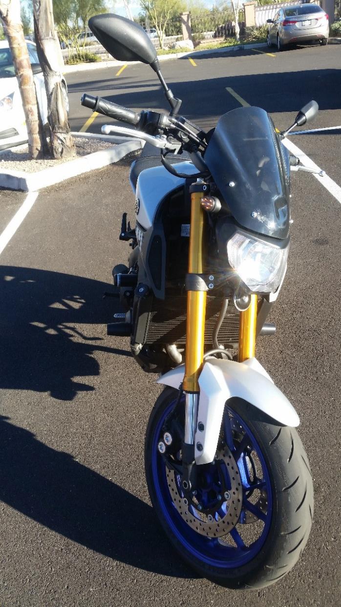 2015 Yamaha FZ-09