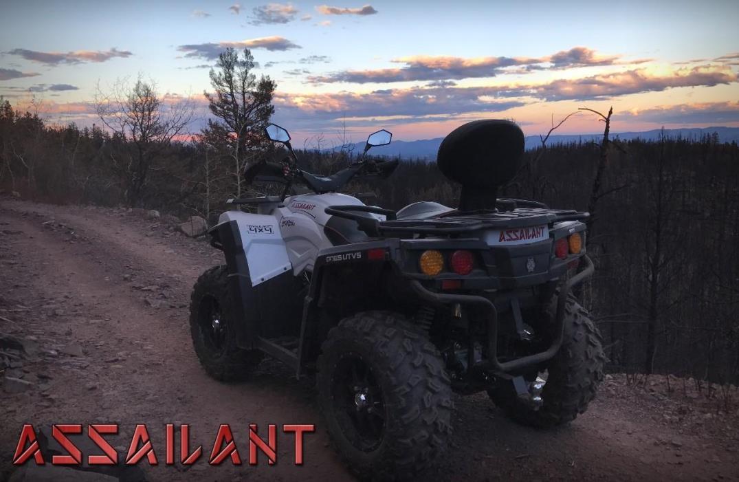 2017 Odes ATV 800