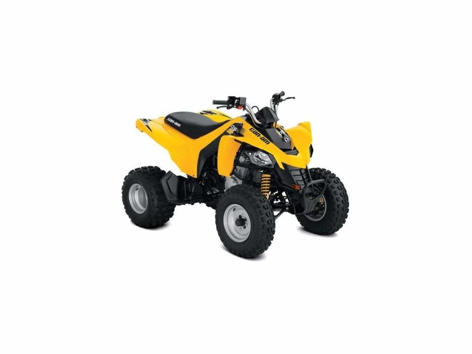 2017 Can Am DS 250