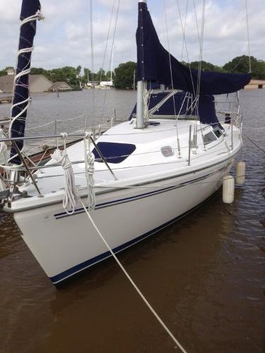 2005 Catalina 310