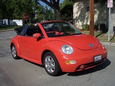 Volkswagen : Beetle-New 17