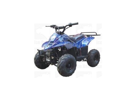 2014 Ice Bear Youth ATV PAH110 2