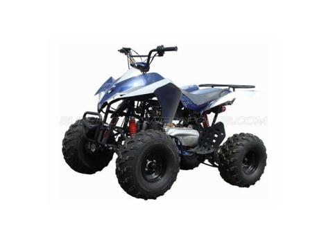 2013 Taotao 150cc ATV Type G