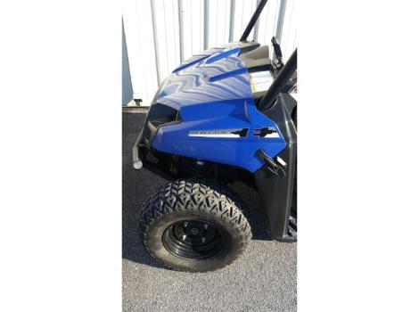 2010 Polaris Ev