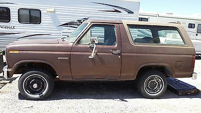 Ford : Bronco brown 82 ford bronco
