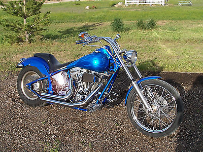 Custom Built Motorcycles : Other 2002 custom built motorcycle sexton mutilator