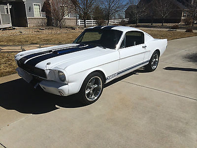 Ford : Mustang Gt350 Tribute  1965 fastback gt 350 tribute car