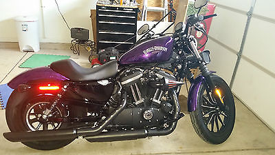 Harley-Davidson : Sportster 2014 iron 883 sportster hard candy purple