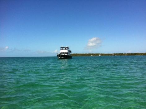 1999 Mainship Trawler 350