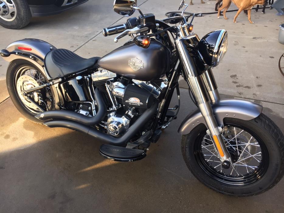 2015 Harley-Davidson SOFTAIL SLIM
