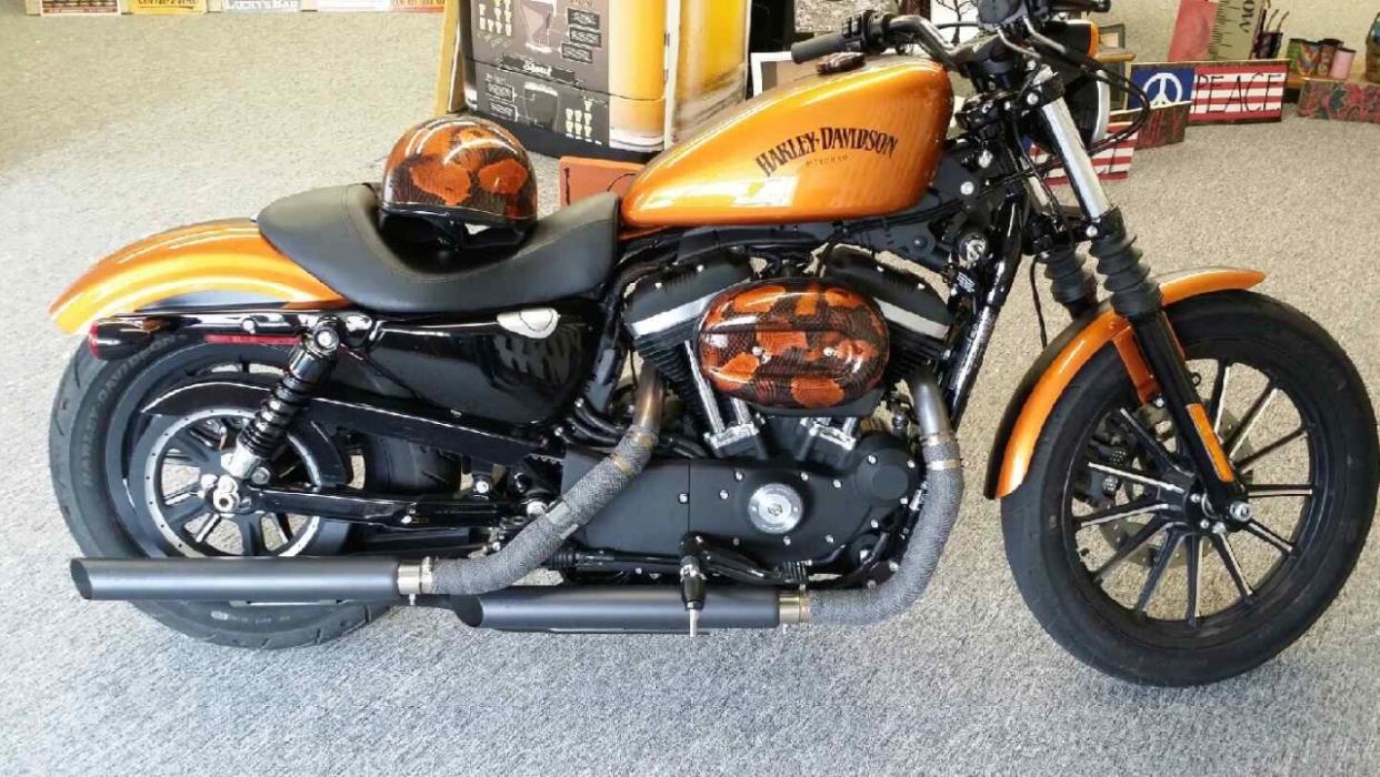2014 Harley-Davidson SPORTSTER 883 IRON