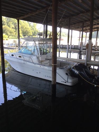 2014 Robalo R305 Walkaround