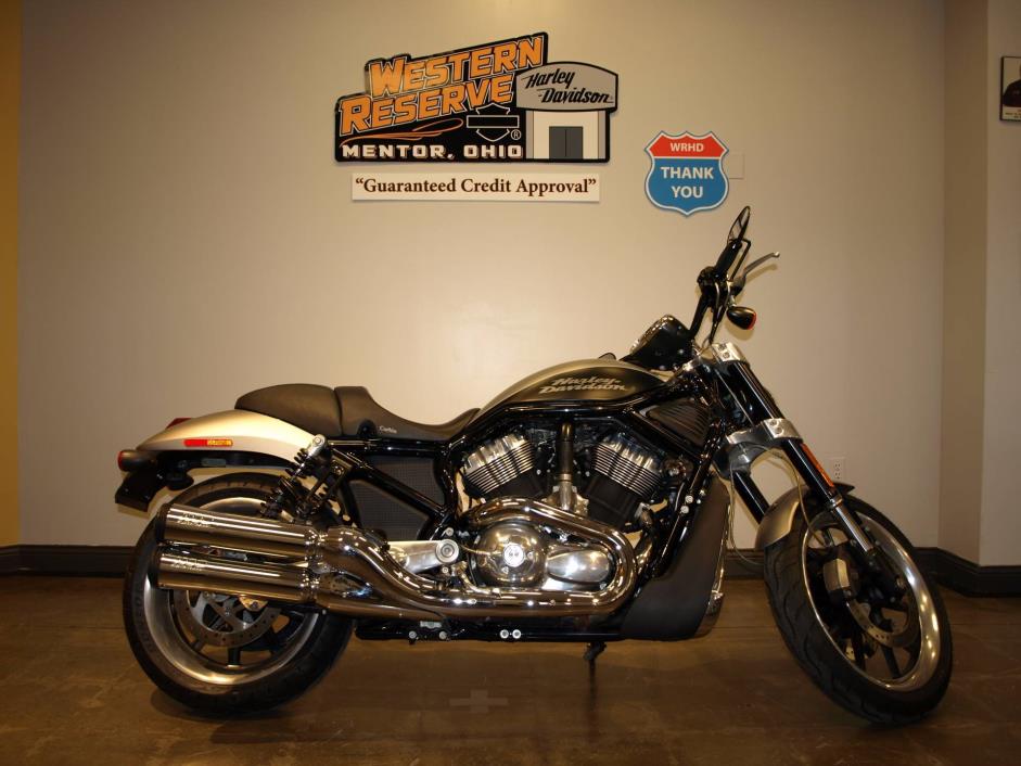 2007 Harley-Davidson Street Rod