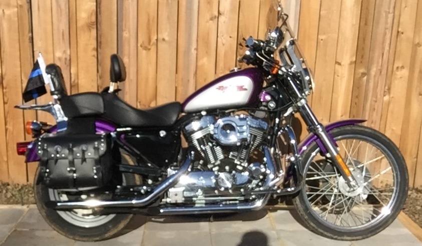 2001 Harley-Davidson SPORTSTER 1200 CUSTOM