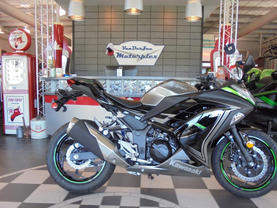 2015 Kawasaki Ninja 300 SE