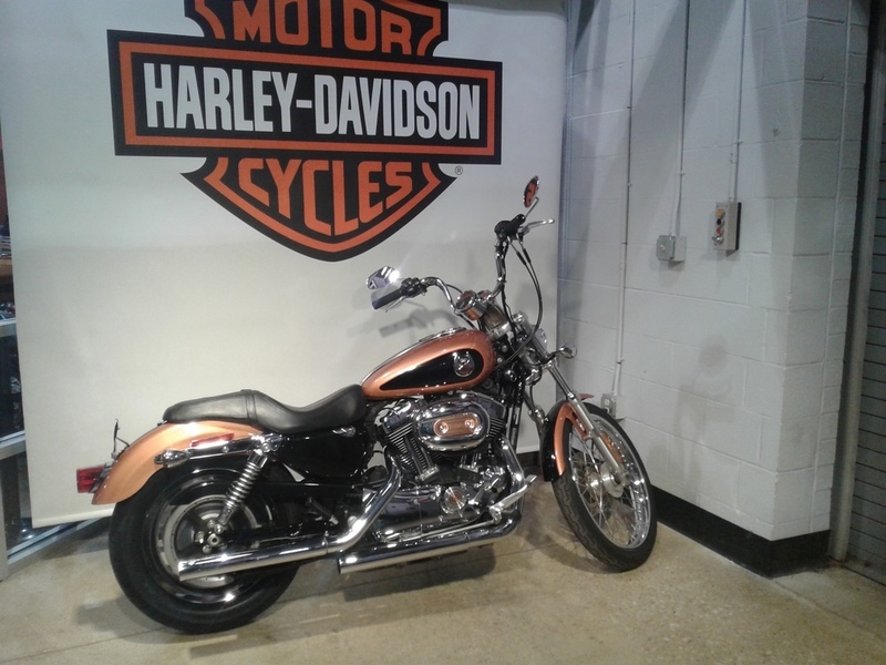 2008 Harley-Davidson Sportster 1200 Custom XL1200C 105th Anniversary Edition