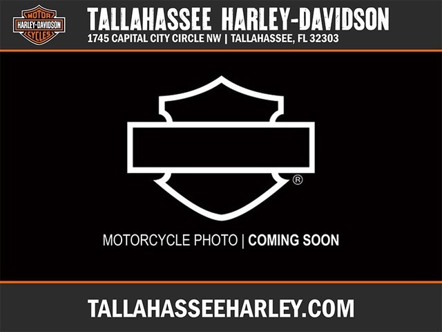 2004 Harley-Davidson FLSTF FAT BOY