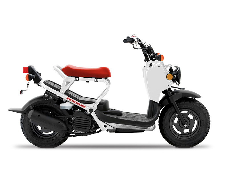 2016 Honda Ruckus