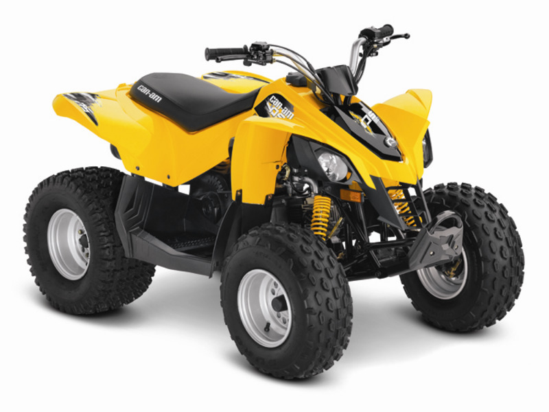 2014 Can-Am DS 90